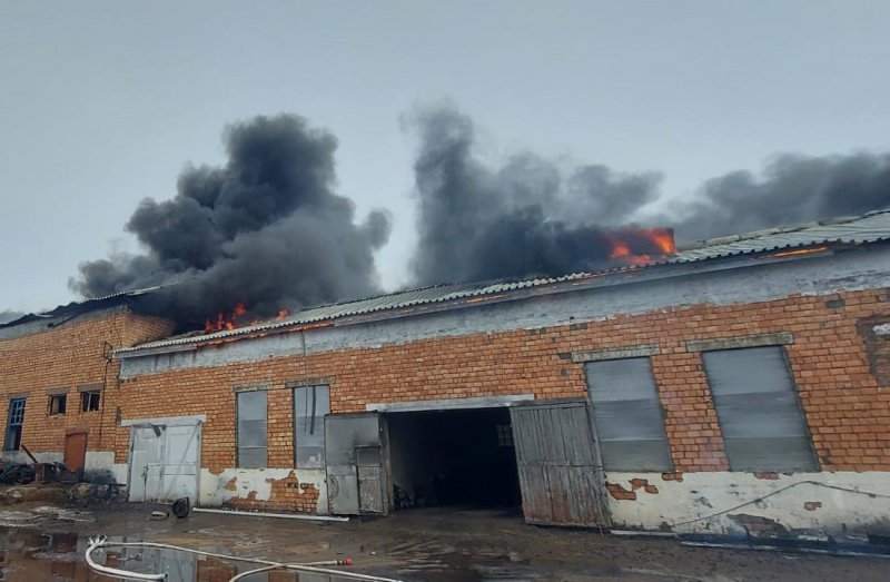 Сотрудники полиции осуществляют охрану общественного порядка на месте крупного пожара в Назаровском районе